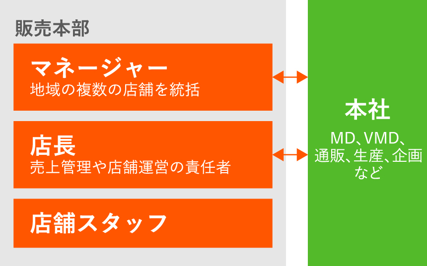 コージィコーポレーションのキャリアパス